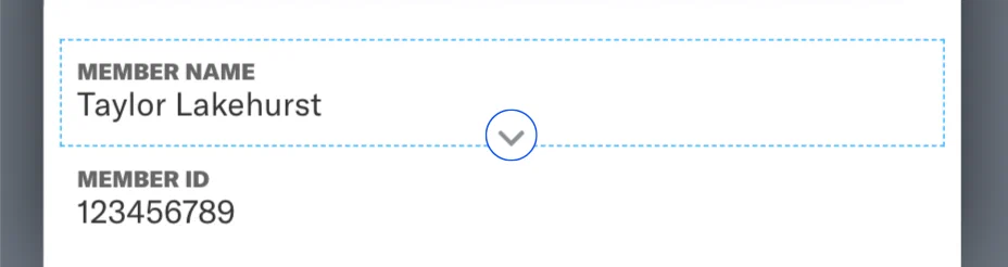 The Template Editor The Template Editor