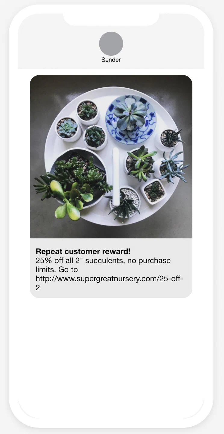 SMS/MMS/RCS SMS/MMS/RCS