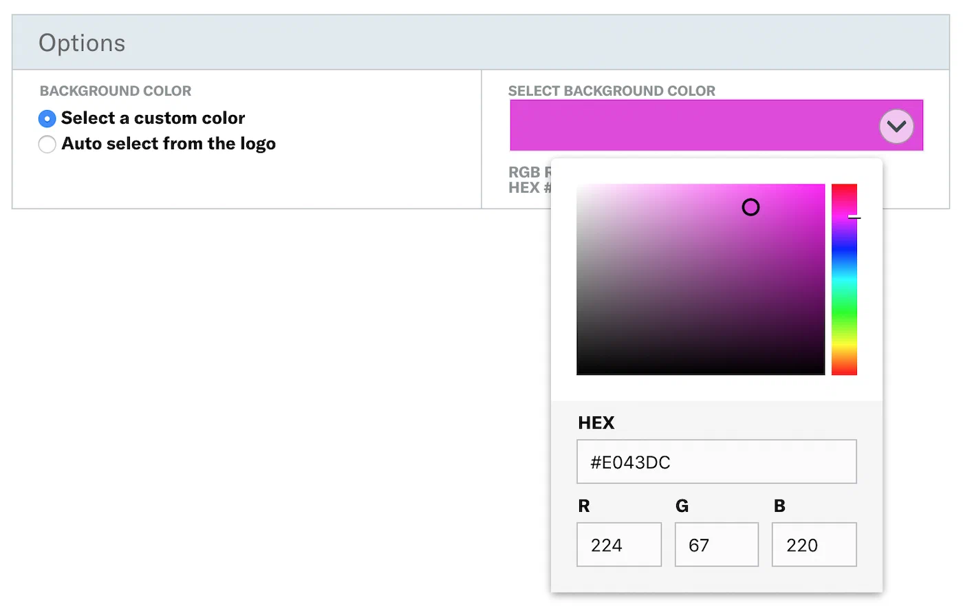 The Template Editor The Template Editor